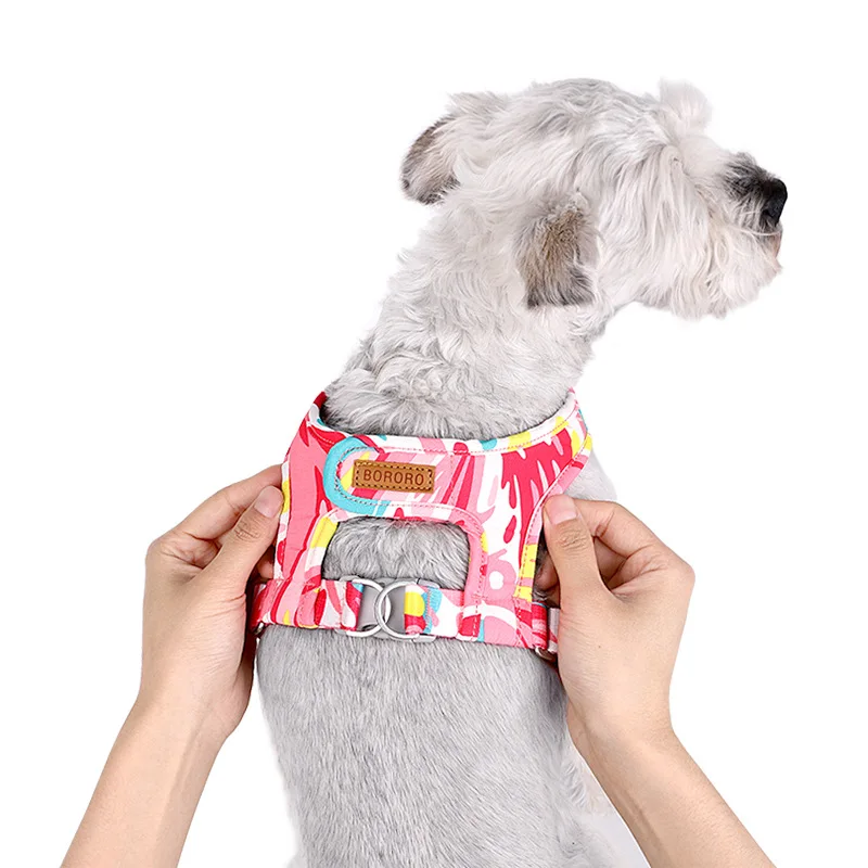 Adjustable Mesh Pet Harness with Leash for Small to Medium Dogs and Cats