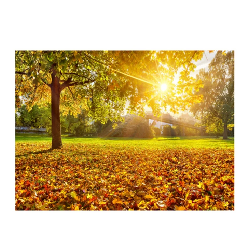 

Forest Tapestry Sun Rays Through Trees Countryside Scenic Wall Hanging For Bedroom Living Room Dorm Decor 150X130cm