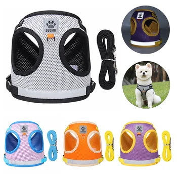 Reflective Safety Dog Harness & Leash 1