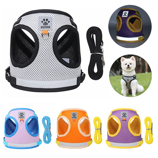 Reflective Safety Dog Harness & Leash 1