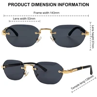 Lunettes de soleil carrées sans monture style punk pour hommes 2026 – Lunettes de soleil de luxe vintage sans cadre pour homme, monture petite, style hip-hop, pour l'extérieur 6