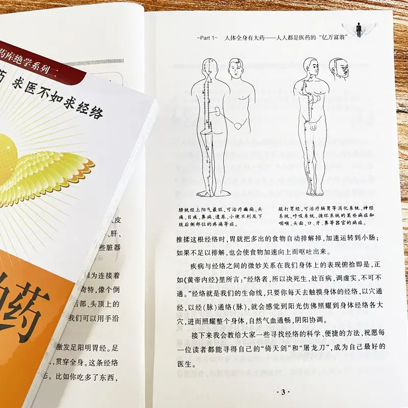 Рисунок 2 - Меридиан-лучшая медицина