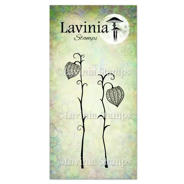 

Fairy Lanterns Plant Clear Stamps For DIY Scrapbook Embossed Handcraft Paper Card Craft Template Supplies Decoration 2024 New
