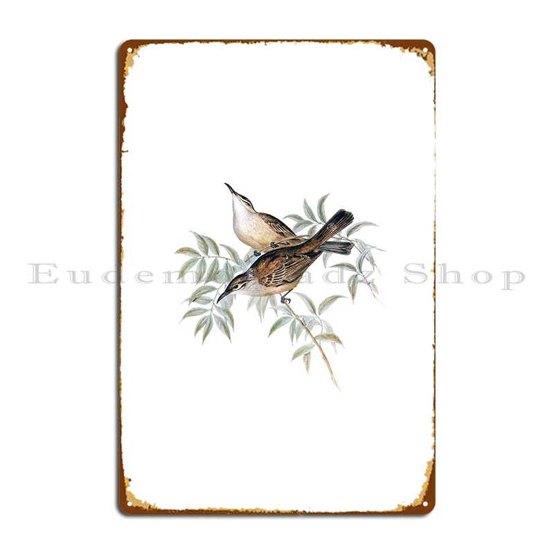 

Streaked Honeyeater Bird Metal Signs Pub Funny Club Personalized Sign Tin Sign Poster