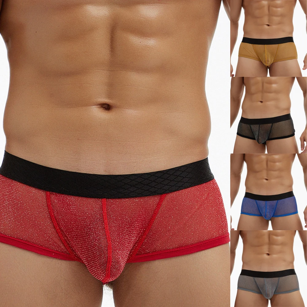 

Sexy Lingerie Men Bikini Underwear See-Through Fine Mesh Pouch Bag Low Rise Boxer Briefs Gays Clothes Трусы Мужские