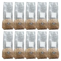 10pcs High-Yield Mushroom Cultivation Bags PP Sterilized Hydrated Grain Bag Filter Patch Substrate Mushroom Spawns Bag 1
