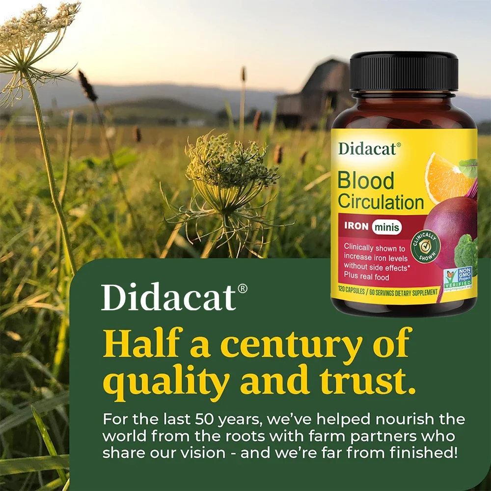 

Iron 26 Mg with Vitamin C, Red Blood Cell Formation, Blood, Heart, Brain, Muscle and Immune Health