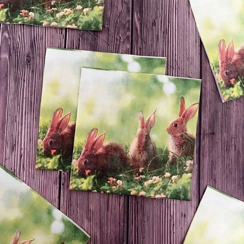 20pcs 33cm 2-Ply Meadow Bunny Printed Paper Napkins Easter Party Decorative Paper Placemats Cocktail Napkins