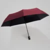 Fashion Large Travel Umbrella, Heavy Duty Windproof Waterproof Umbrella, Fully Automatic Open And Close Golf Umbrella, UPF50+ UV 5