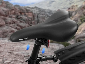 electric bikes for adults