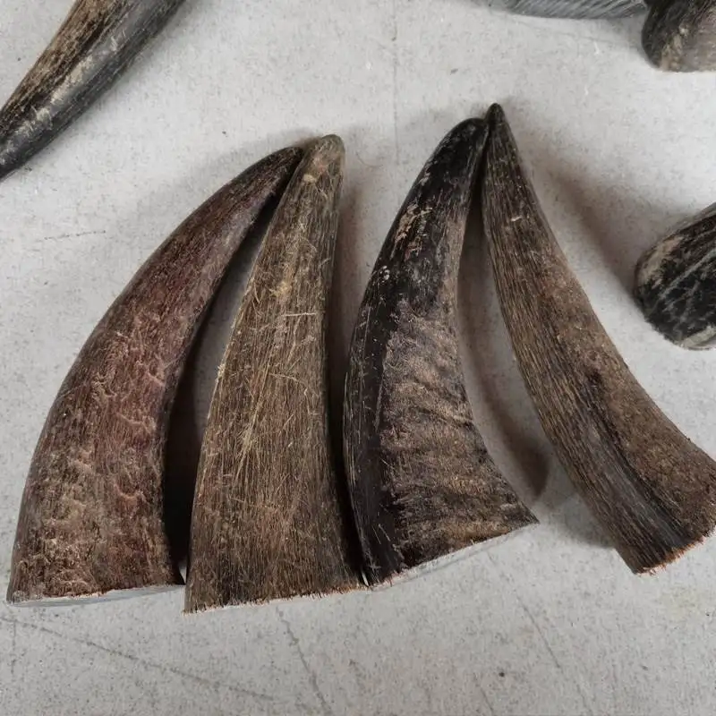 Natural Black Buffalo Horn Pointed Full Solid Raw Material DIY Handicrafts Carving Stamp Knife Handle Hand String Buddha Bead