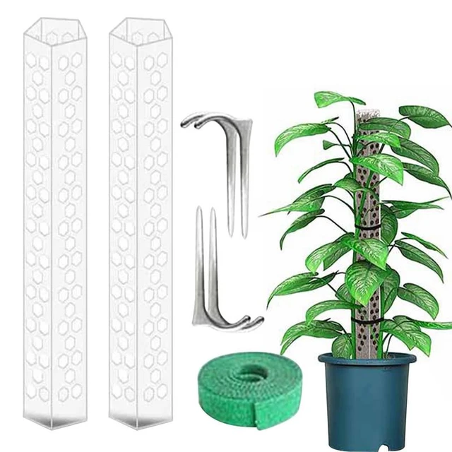 Lot De 2 Poteaux De Plantes Poteaux En Mousse En Plastique - Temu