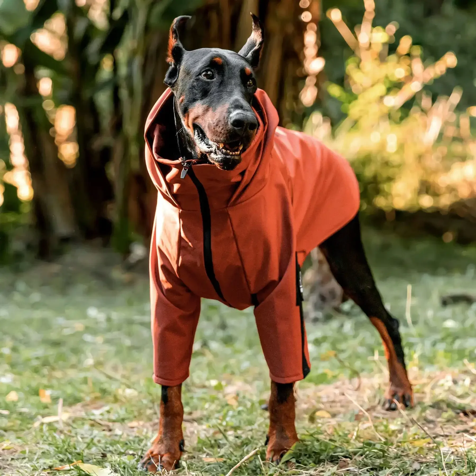 

Dog Winter Coat