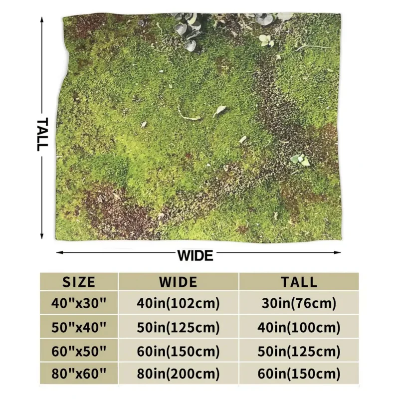 �̳��� ���� ���, �ε巴�� ������ �ö��� ������ ��� ħ�뺸, ħ�� �Ž� ��ũ�� ���� Ȩ ����