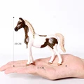 Pint Arabian horse