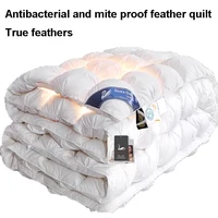 Premium Goose Down Quilt – Soft, Warm for All Seasons