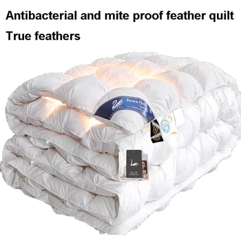 Premium Goose Down Quilt – Soft, Warm for All Seasons