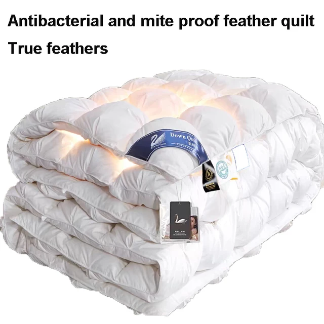 Premium Goose Down Quilt – Soft, Warm for All Seasons