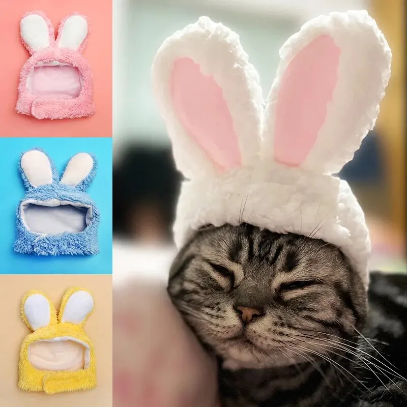 Pet Headgear Cat Rabbit Dog Teddy Bear