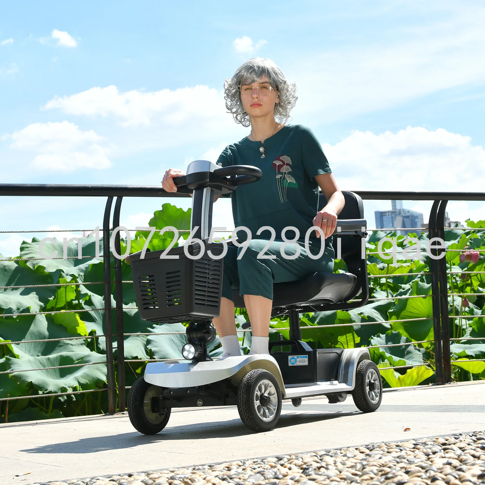 

250W Electric Mobility Scooter 4 Wheels Handicapped Scooter For Adult Elderly Disabled People Outdoor With Foldable Function
