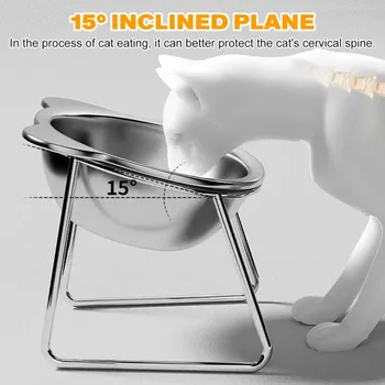 Slanted Stainless Steel Pet Bowl 1