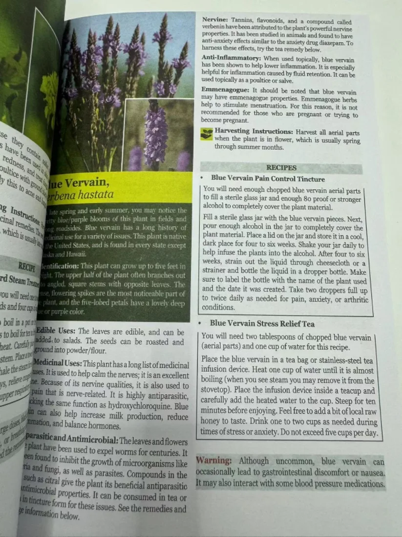 The Lost Book of Herbal II Protocols for Common Ailments Book English Paperback Colored Inner Pages