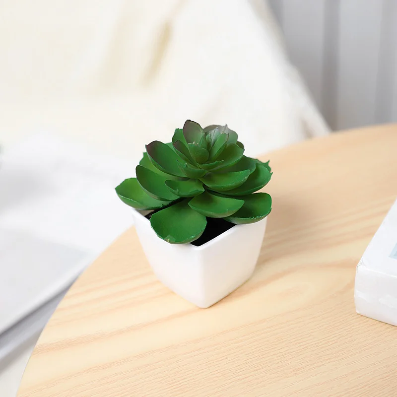 6 Stück künstliche immergrüne Pflanzenbonsai, geeignet für Zuhause, Restaurant, Büro, Desktop und Fensterbank-Dekoration – Detail 14
