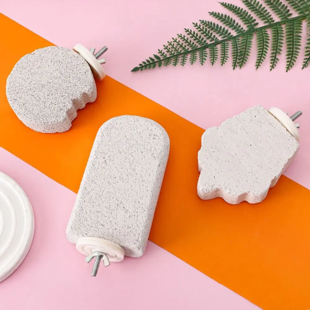 Pumice Parrot Stand Board Claw Grinding Tooth Grinding Bird Perch Stand Detachable Birdcage Accessories Bird Resting Platform