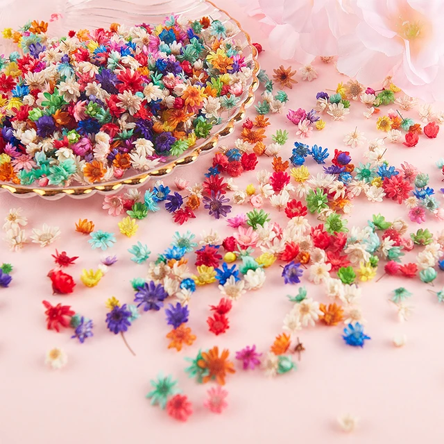 1g 140pcs Dry Flower head Dried Flowers for Resin Molds Fillings Epoxy  Resin Pendant Making Craft DIY Nail Art Decoration - AliExpress