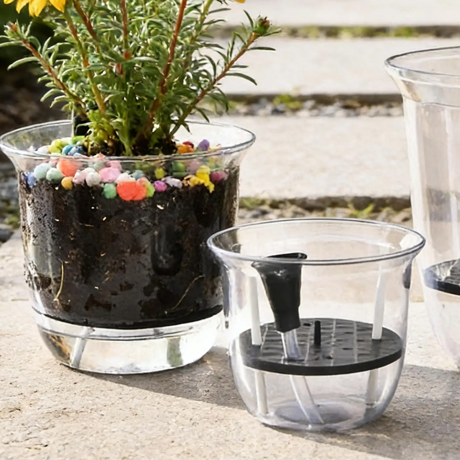 Self-Watering Indoor Planter for Seedlings and Flowers - Automatic Water Absorbing Garden Pot