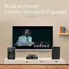 100W High Power 5 Inch Home Speaker Passive Fever Audio Subwoofer K Song Wall Hanging Surround Audio Desktop Front Speaker 4