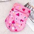 Pink Watermelon