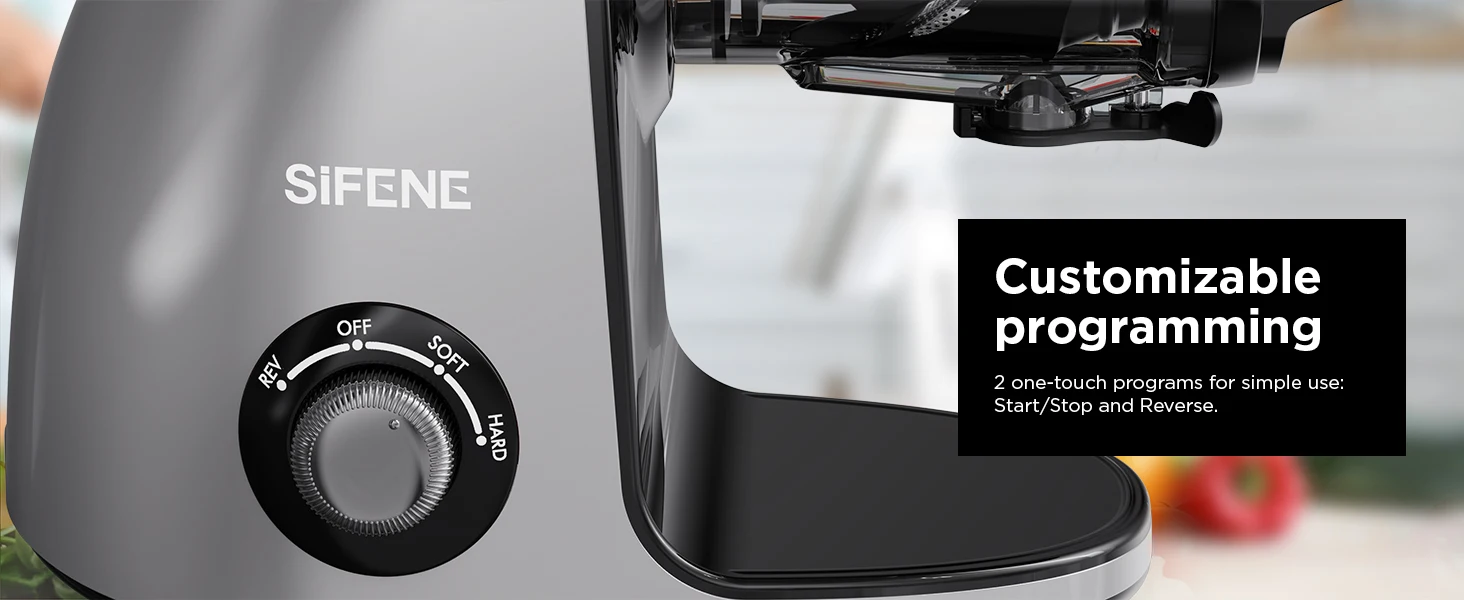 Slow Masticating Cold Press Juicer Machine Juice Maker with Dual Mouth