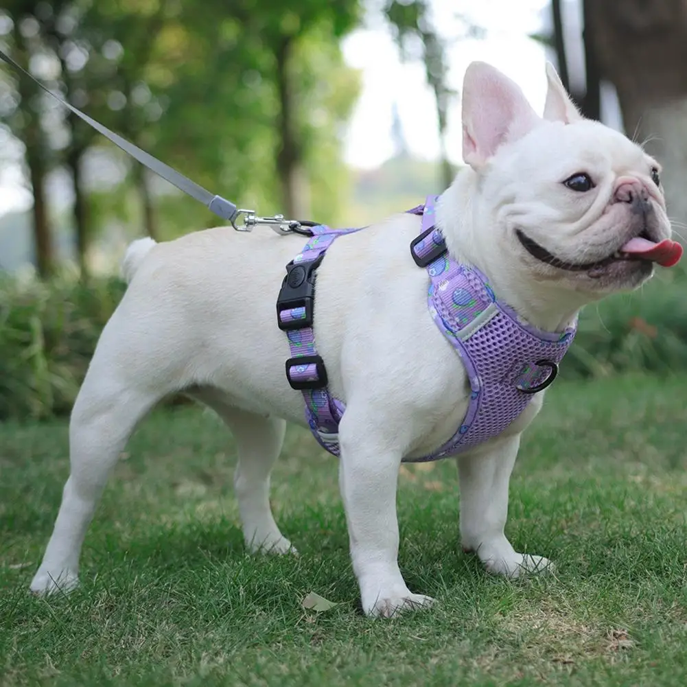 

Нагрудный ремень с защитой от взрыва, нагрудный ремень с принтом фруктов для домашних животных