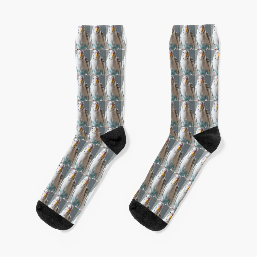White and Blue Parakeet Socks bright garter custom Man Socks Women's