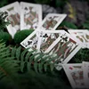 Bicycle Prehistoric Playing Cards Deck Poker Card Games Magic Tricks Standard Poker Magic Tricks Props for Professional Magician 6