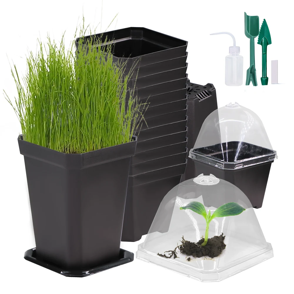 2 Ensembles Plateau De Germination, Couvercle Transparent En Plastique