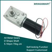 ขายส่ง A58SW31ZY 7-470rpm DC 24v หนอนเกียร์มอเตอร์ 1.6-70kg.cm แรงบิดสูง D เพลา 12v มอเตอร์หมุนตารางประตู Self-lock 1