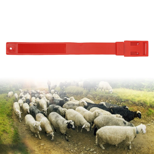 Konges Slojd - activity ring sheep – Everlybee