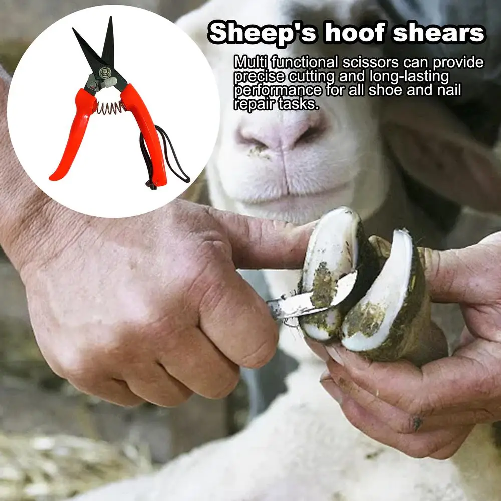 Schaf-Hufschneider, Strauchpflanze, Blumen, Beschneiden, Schnittschere, Gartenschere, Schere, Ziegen-Hufschneider, Alpaka, Lamm, Schwein, Nagelknipser – Detail 6