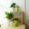 Automatic Watering Flower Pot Nursery Growing Container Visible Water Level Pots with Drainage Hole Gardening Planting Tool 3