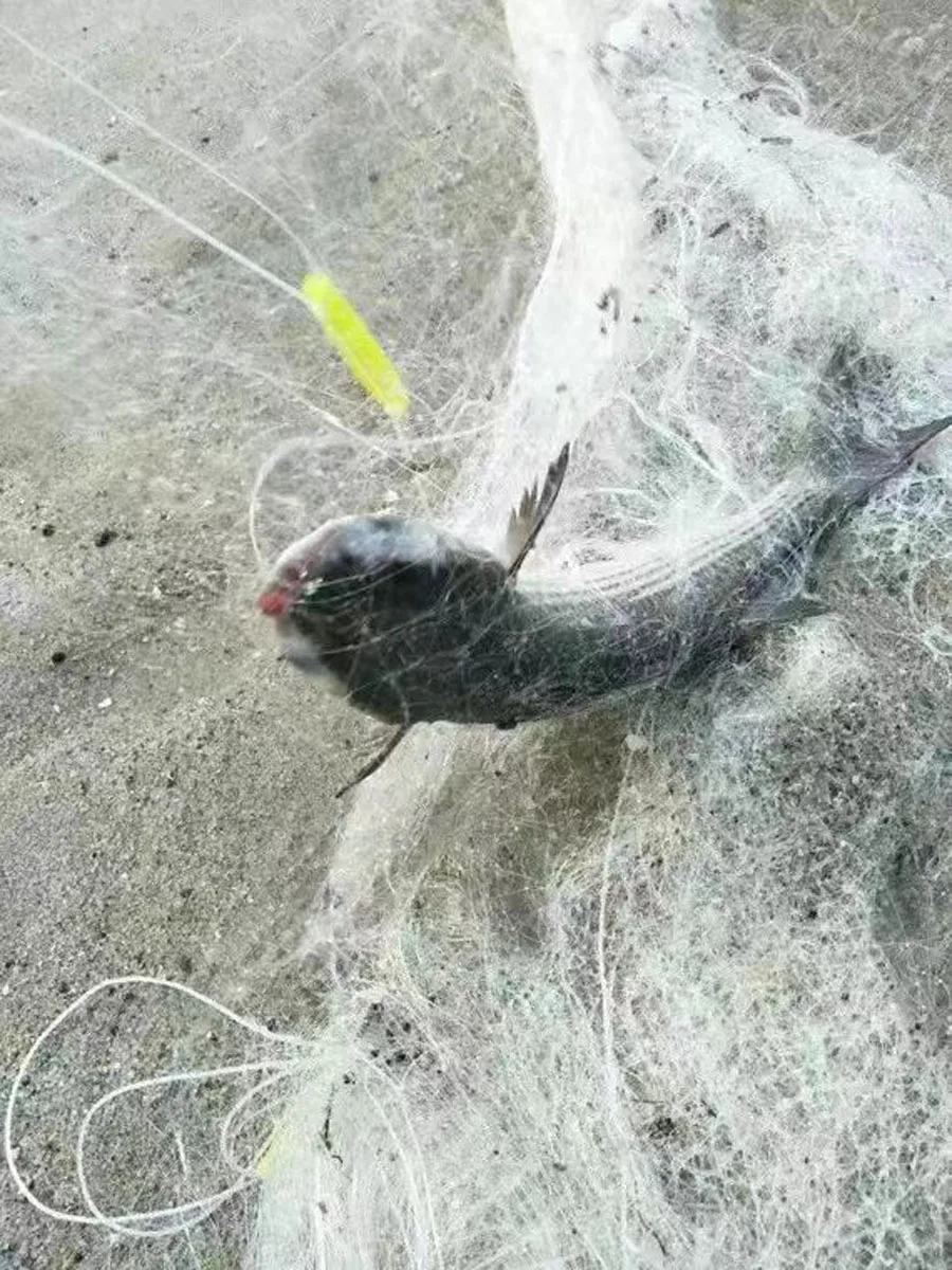 10m 25m 50m Three-layer Sinking Fishing Net