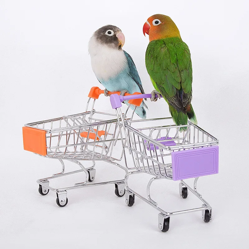 NONOR 1Set Of Training Pet Bird Toy Set Interactive Parrot Equipment Set Funny Bird Activity Toy Pet Basketball Skateboard