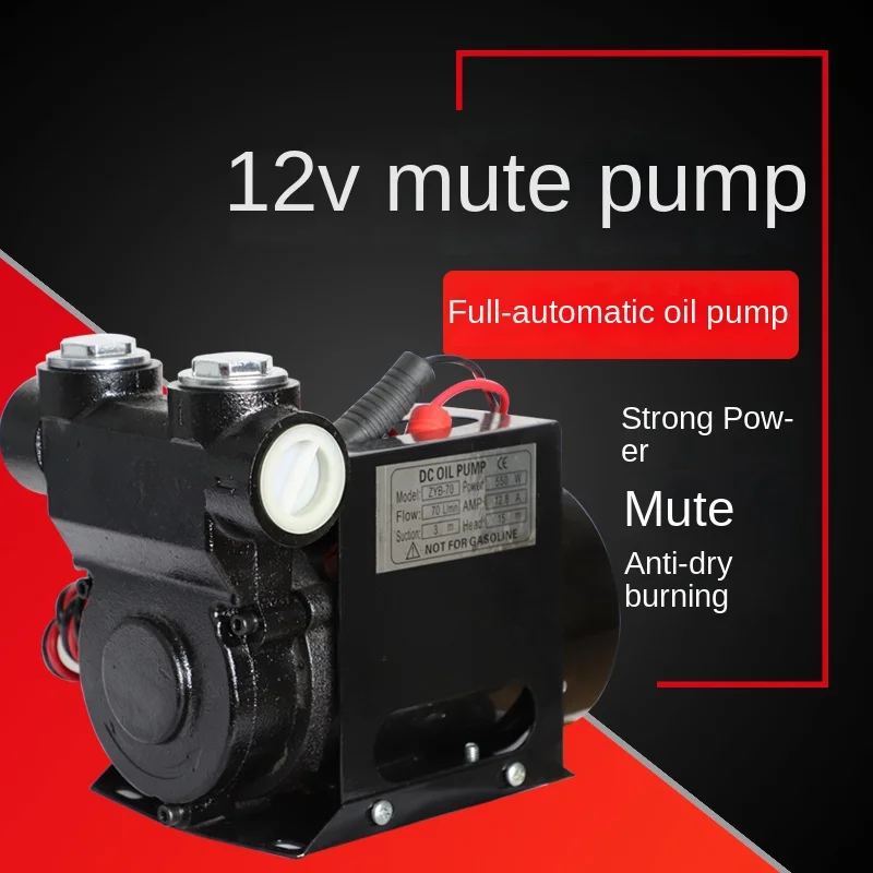 12 V24V Mute Plus Pompa Olio Di Pompaggio 550W Pompa Diesel Completamente Elettrica 220V Tutto Motore In Rame Con Clip Batteria Interruttore