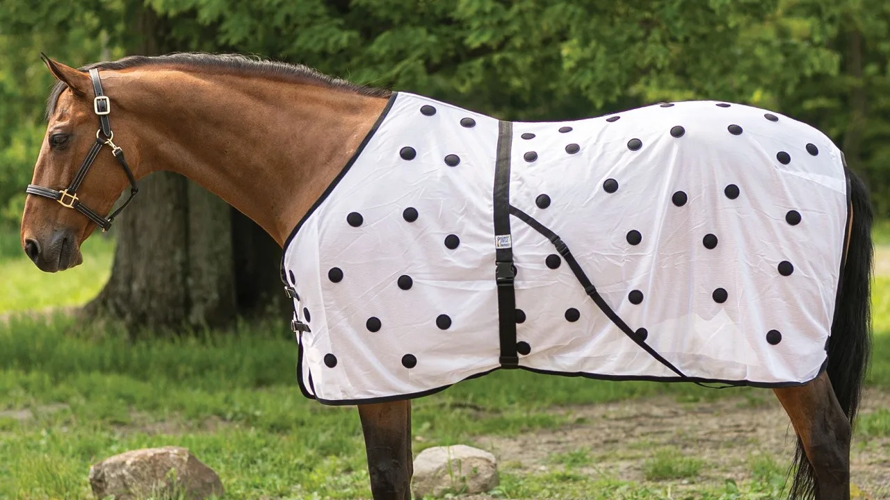 Horse Blanket Standard Mesh Sheet Blanket Magnet Horse Rug