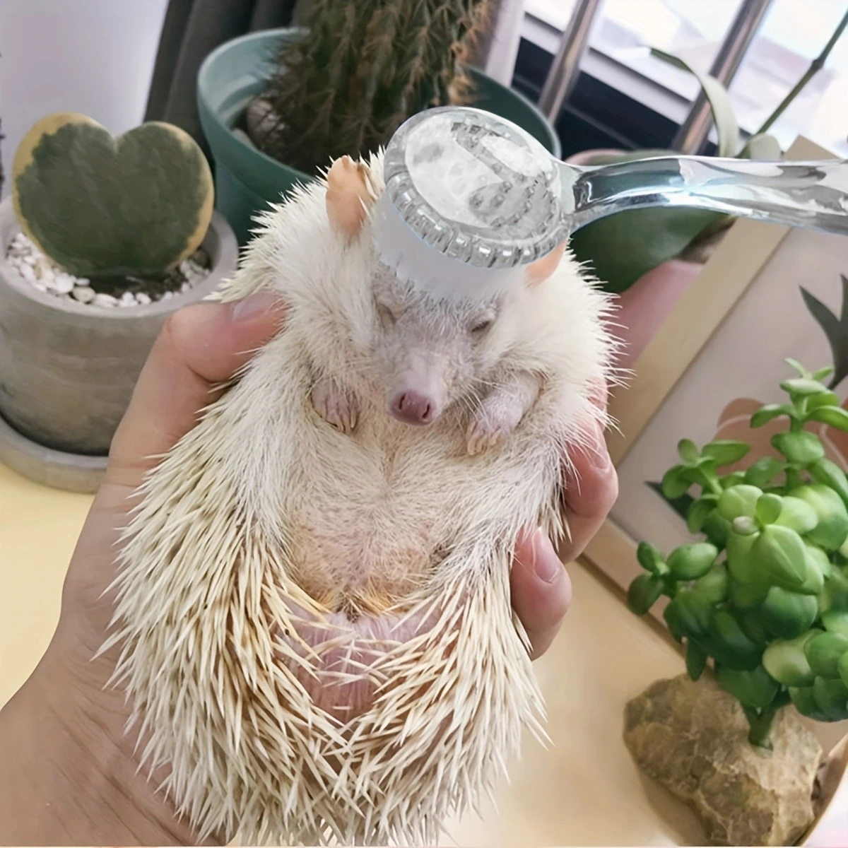 Small Hamster Brush 1pc Soft Bristle Massage Brush for Long Hair Hamster Cleaning Combing Bath pet hair brush