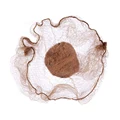 Light brown 20pcs