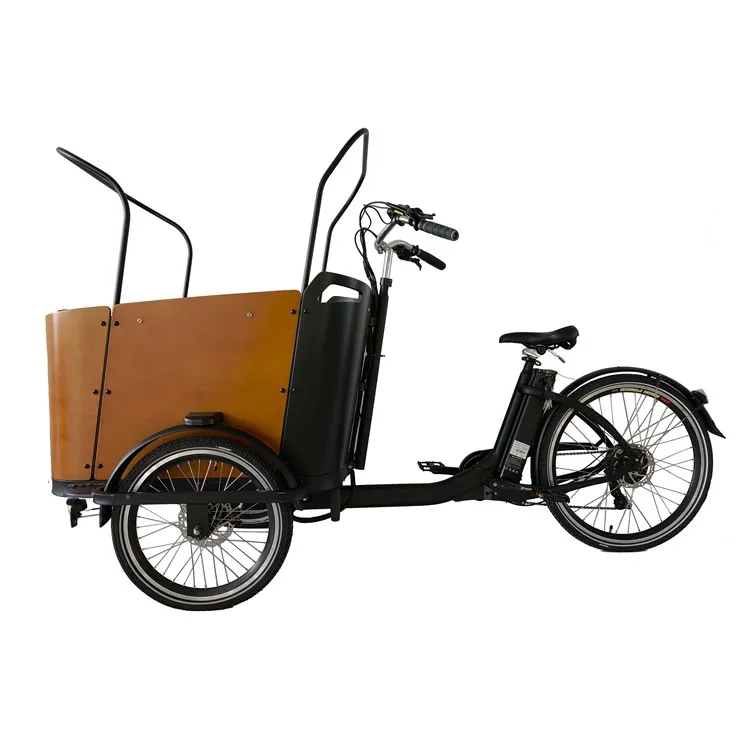 

YIYKEN OEM Cargo E Bike Good Quality Electric Cargo Bike Family 3 Wheel Electric Cargo Bike