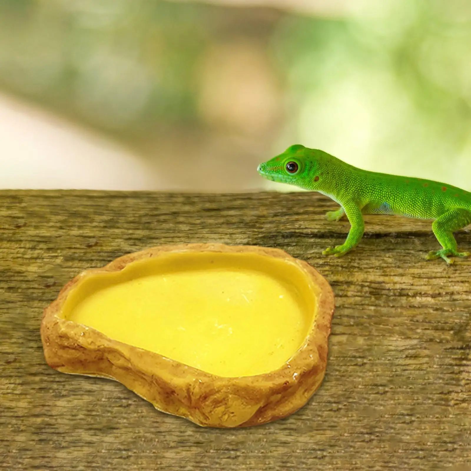 Reptile Water Bowl Tank Decor Resin Terrarium Water Dish Reptile Food Dish for Frog Turtle Chameleon Tortoise Bearded Dragon
