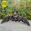 Bat Plush Toy High Fidelity Vampire Bat Plushie Fruit Bat Peluche Lifelike Stuffed Animals Simulation Doll Kawai Toy Gifts Kids 4